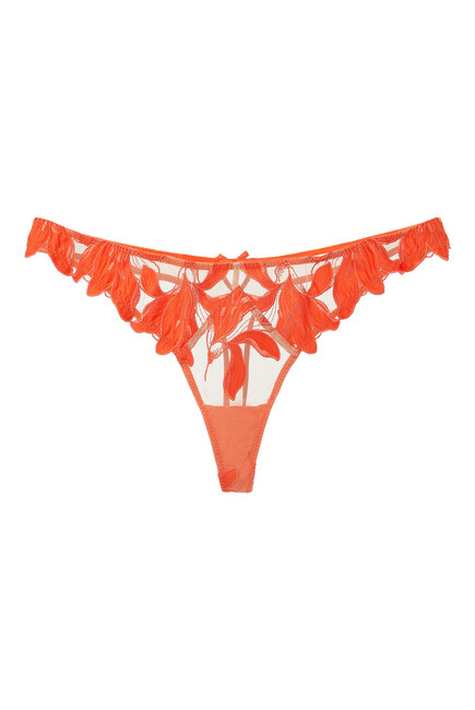 Lily Embroidery Cheeky Hipster Thong
